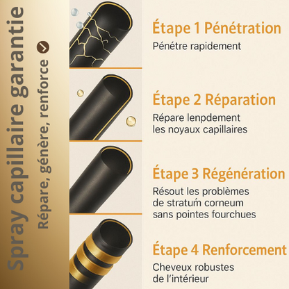 Spray capillaire à la BIOTINE