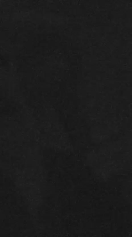 Charger la vidéo : 